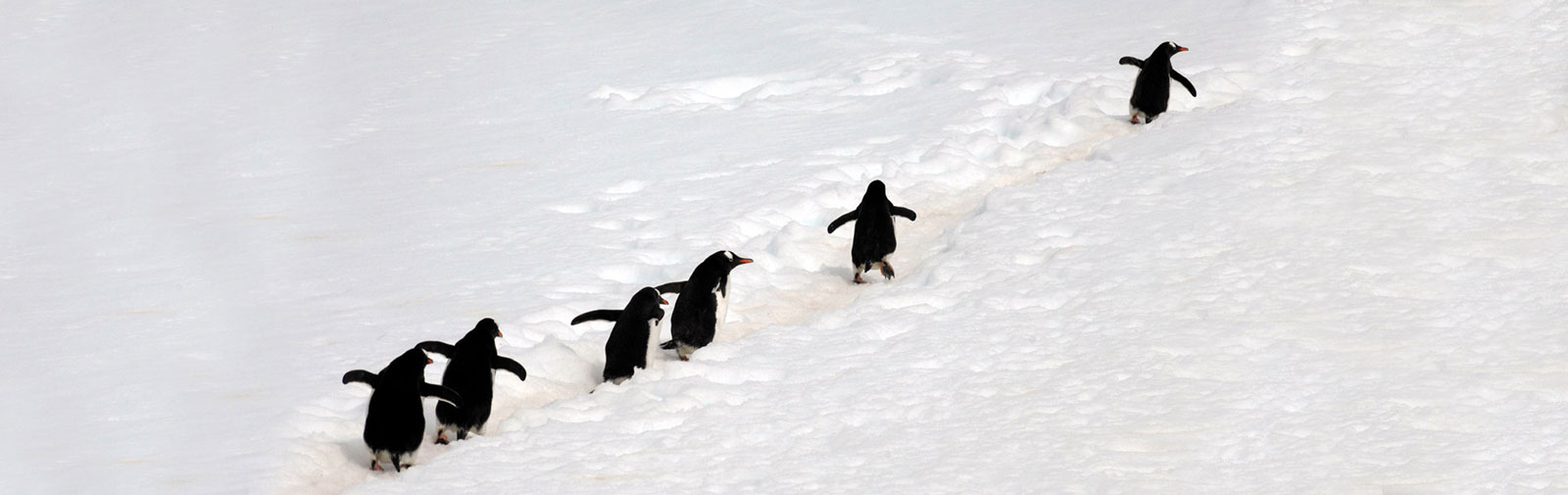 agil-mental-stark-am-arbeitsplatz