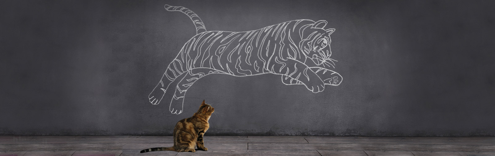 agil-mental-stark-am-arbeitsplatz